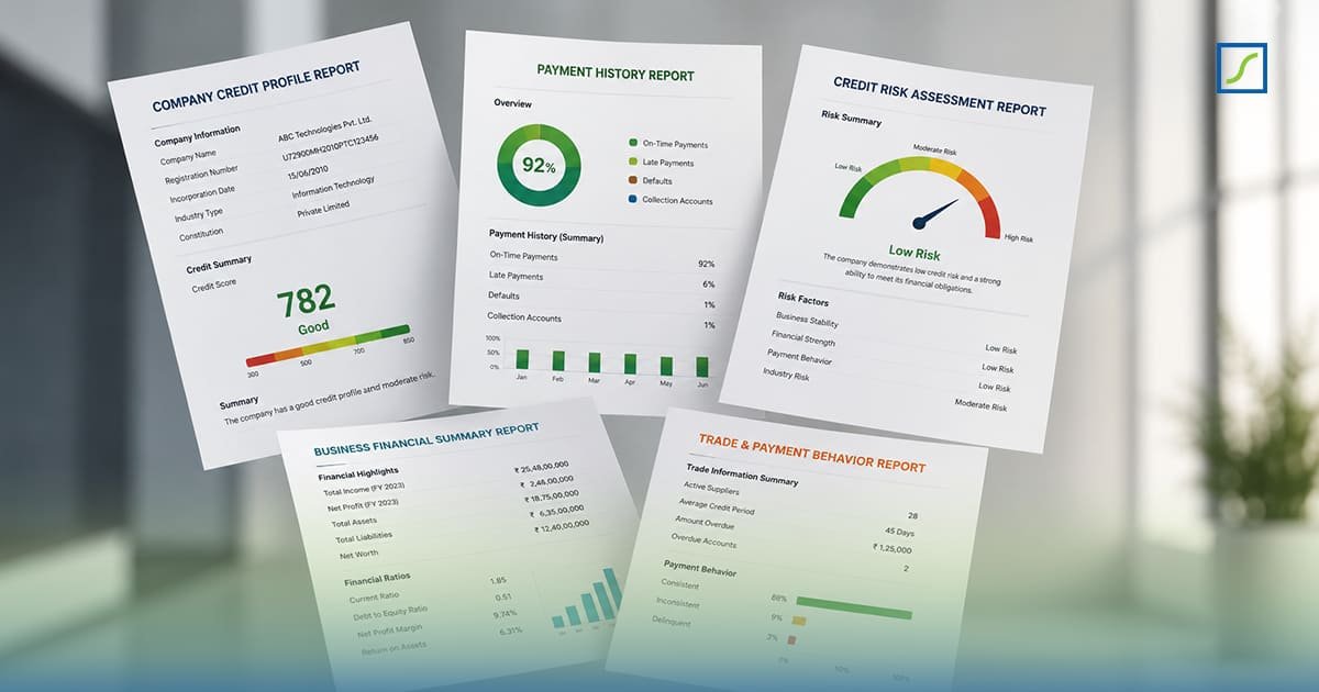 Business credit report